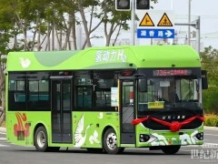 福建首條氫能公交示范線落地廈門,新研氫能攜手金龍客車共啟零碳交通新篇章